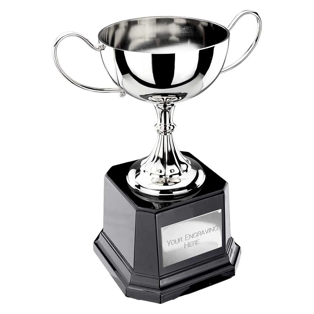 Tavistock Collection Nickel Plated Cup B
