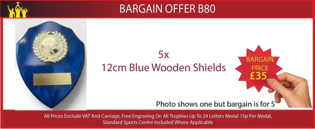 Bag A Bargain offer B80