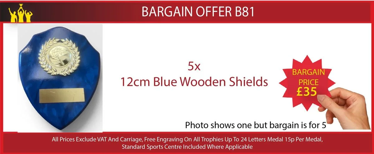 Bag A Bargain offer B81