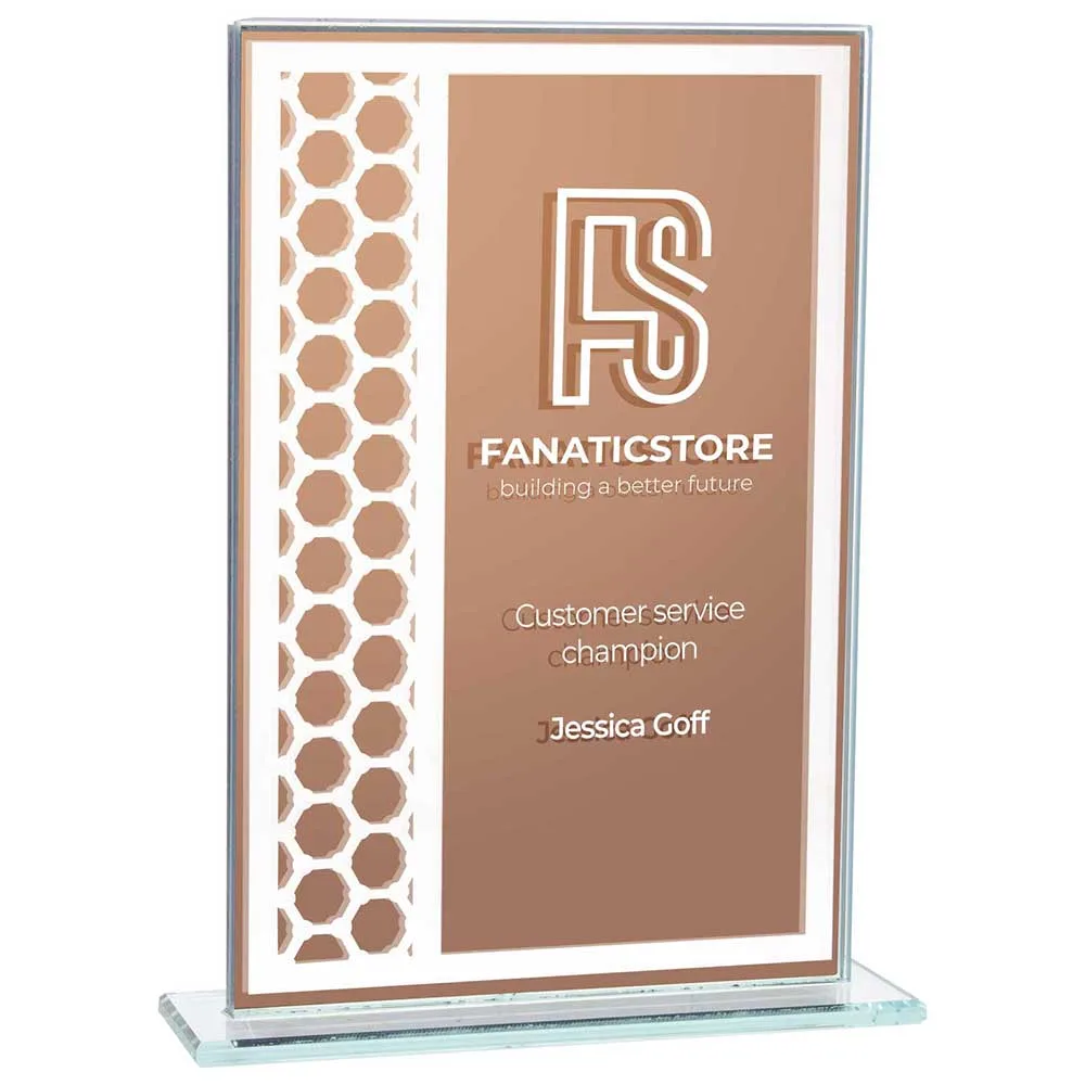 Titanium Mirrored Glass Award Bronze B