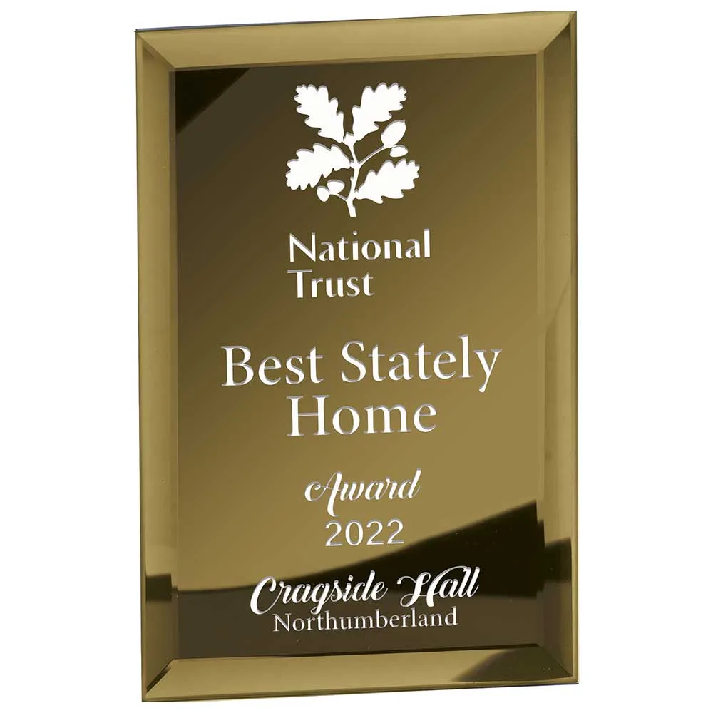 Mirage Gold Mirrored Glass Plaque