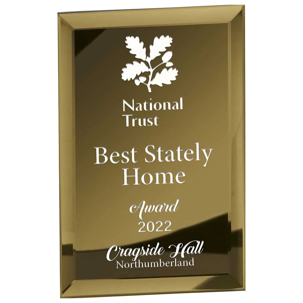Mirage Gold Mirrored Glass Plaque B