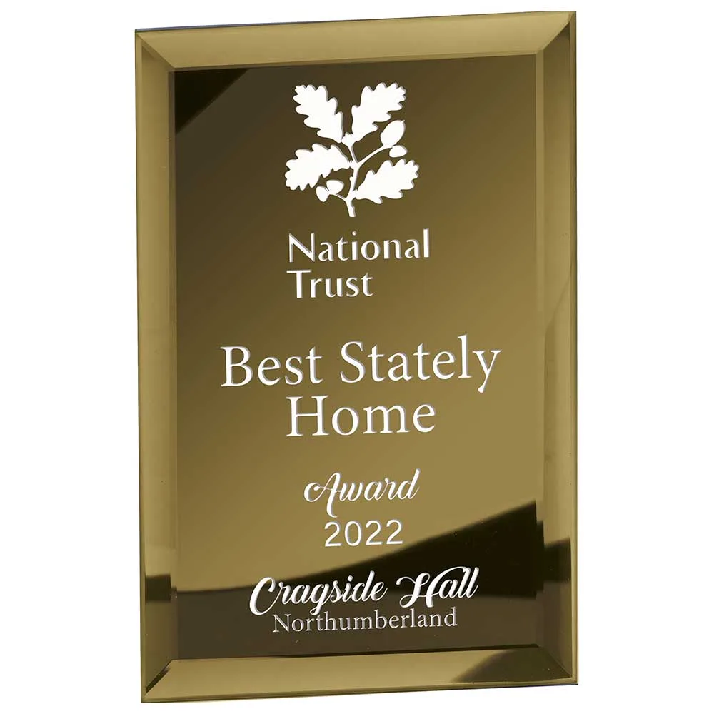 Mirage Gold Mirrored Glass Plaque C