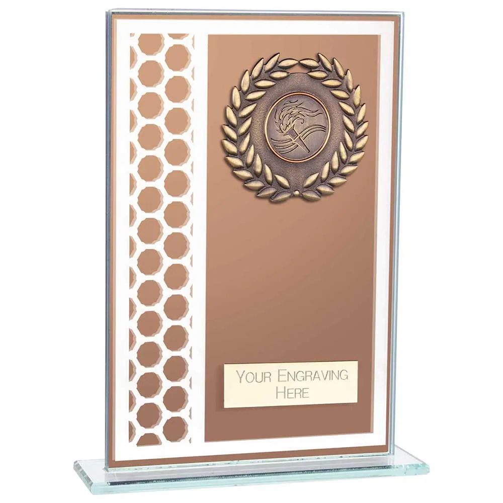 Titanium Multisport Glass Award Bronze CR23575B