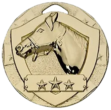 Equestrian Medals