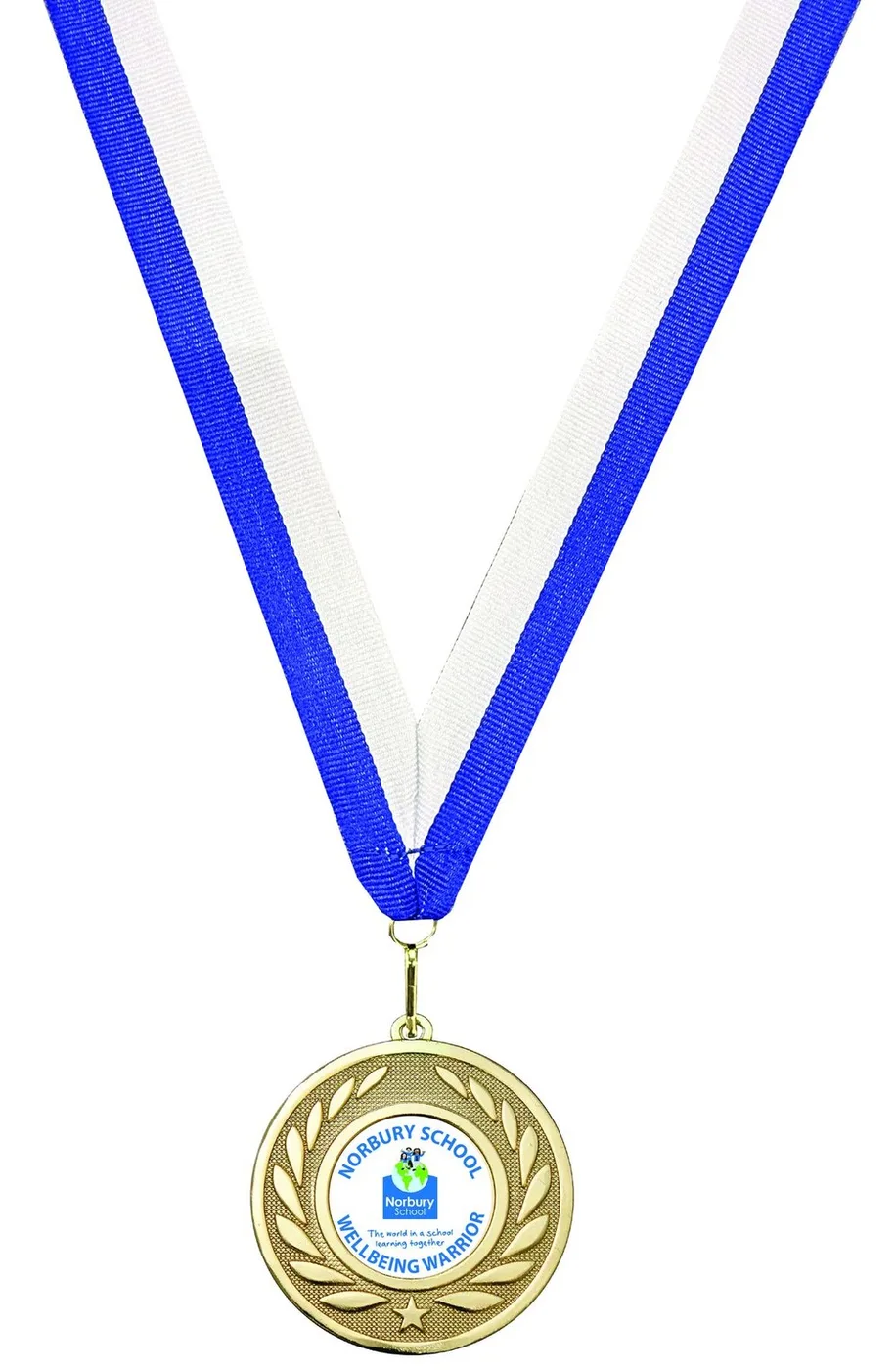 SD. Package 10 - School Package Medals - School and Victory Medals