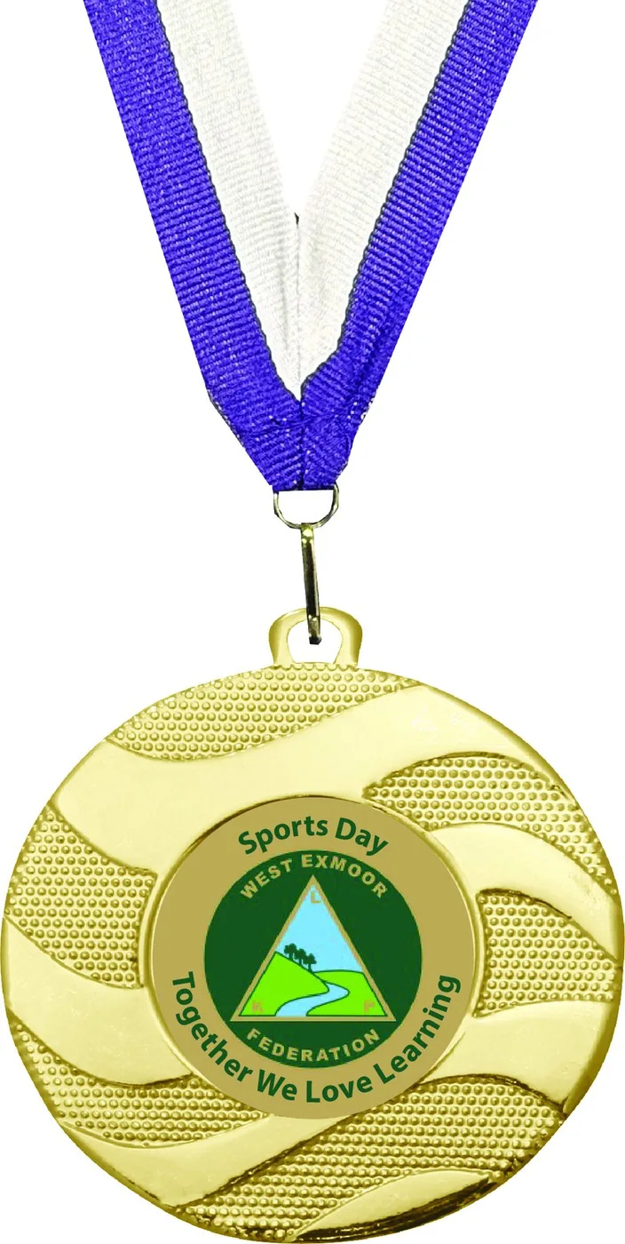 SD Package 6 - School Package Medals - School and Victory Medals