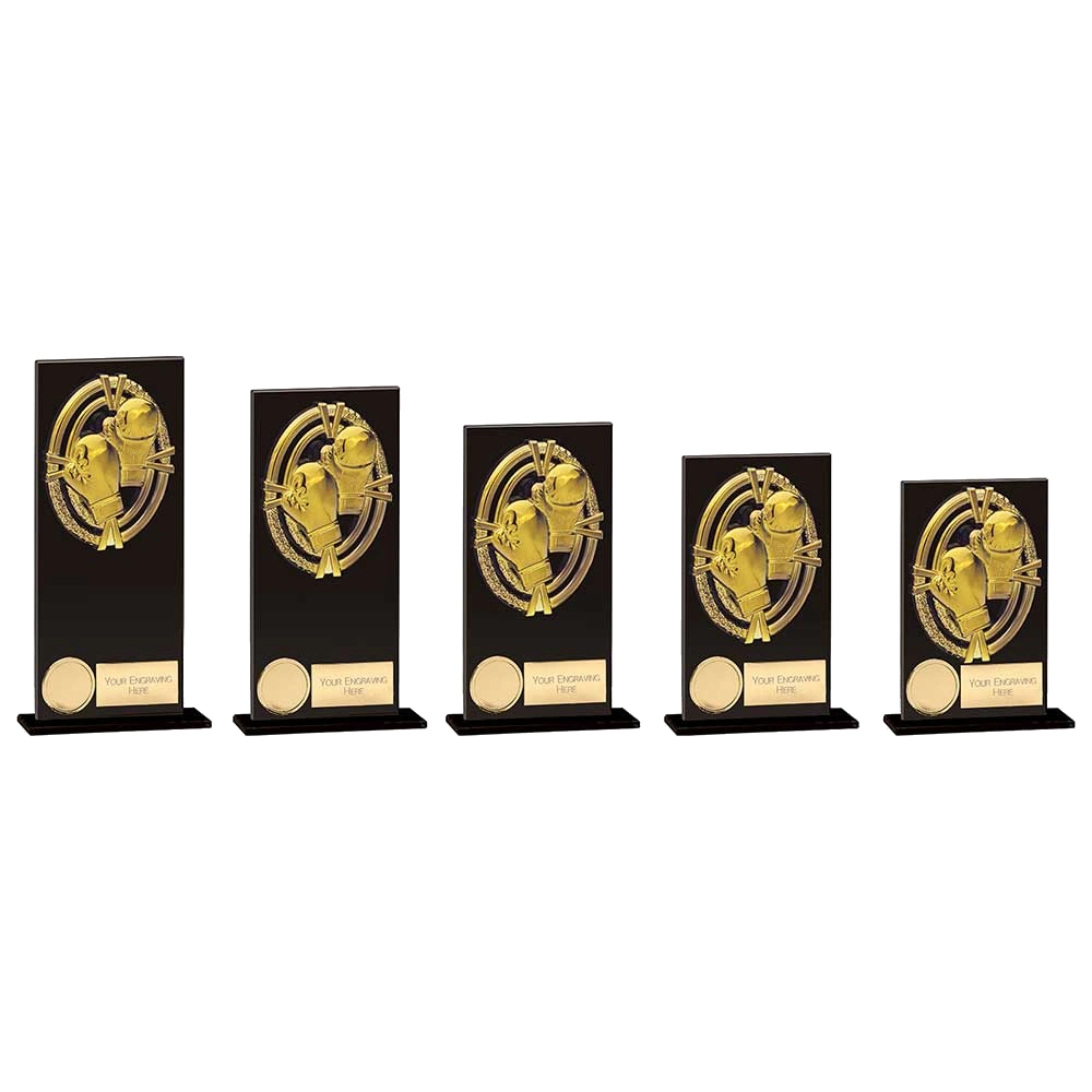 Boxing Trophies
