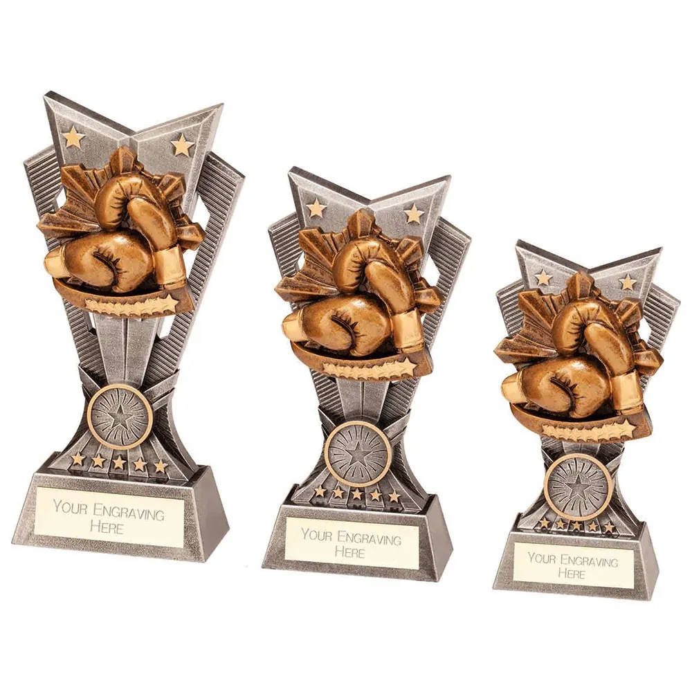 Spectre Boxing Award