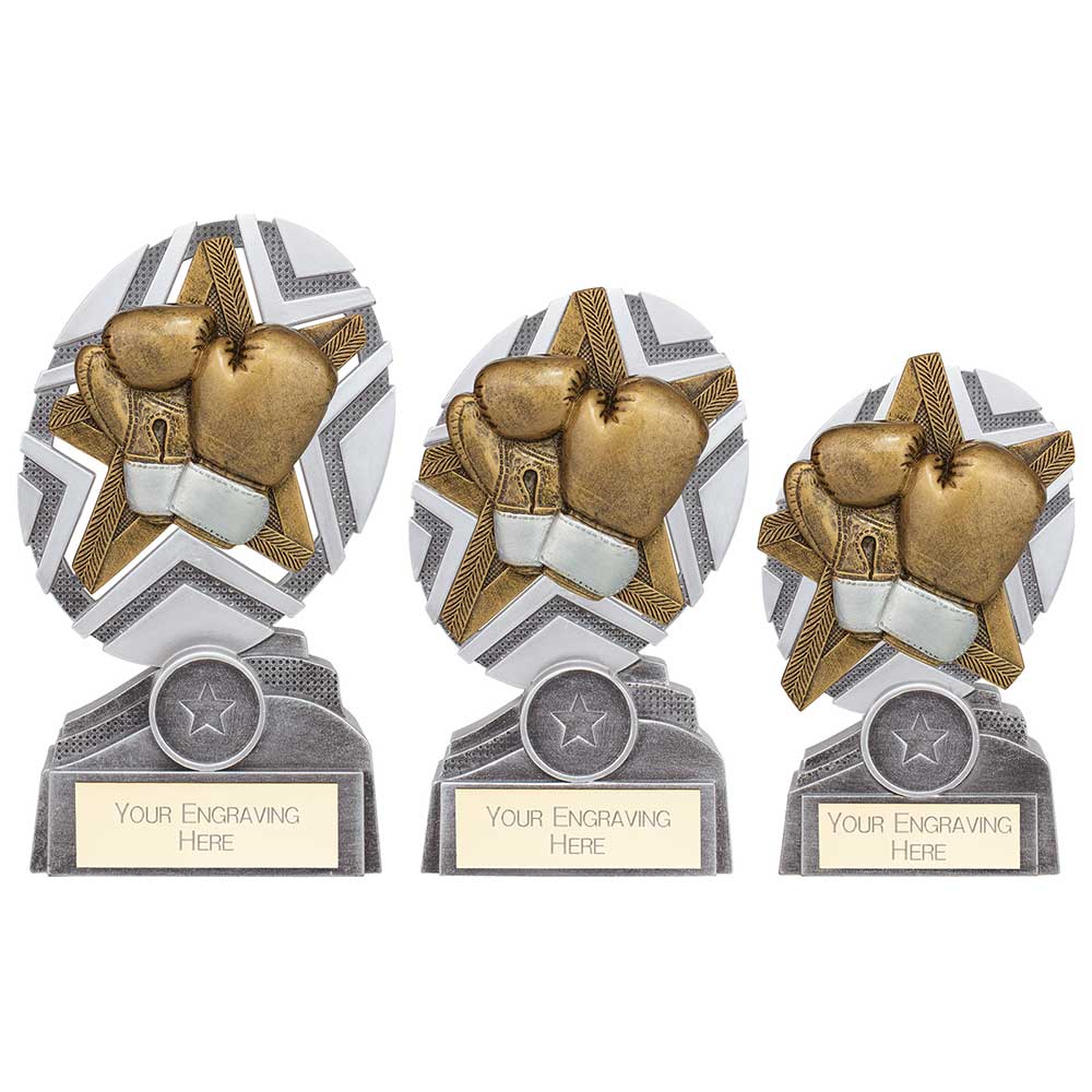 The Stars Boxing Plaque Award Silver & Gold