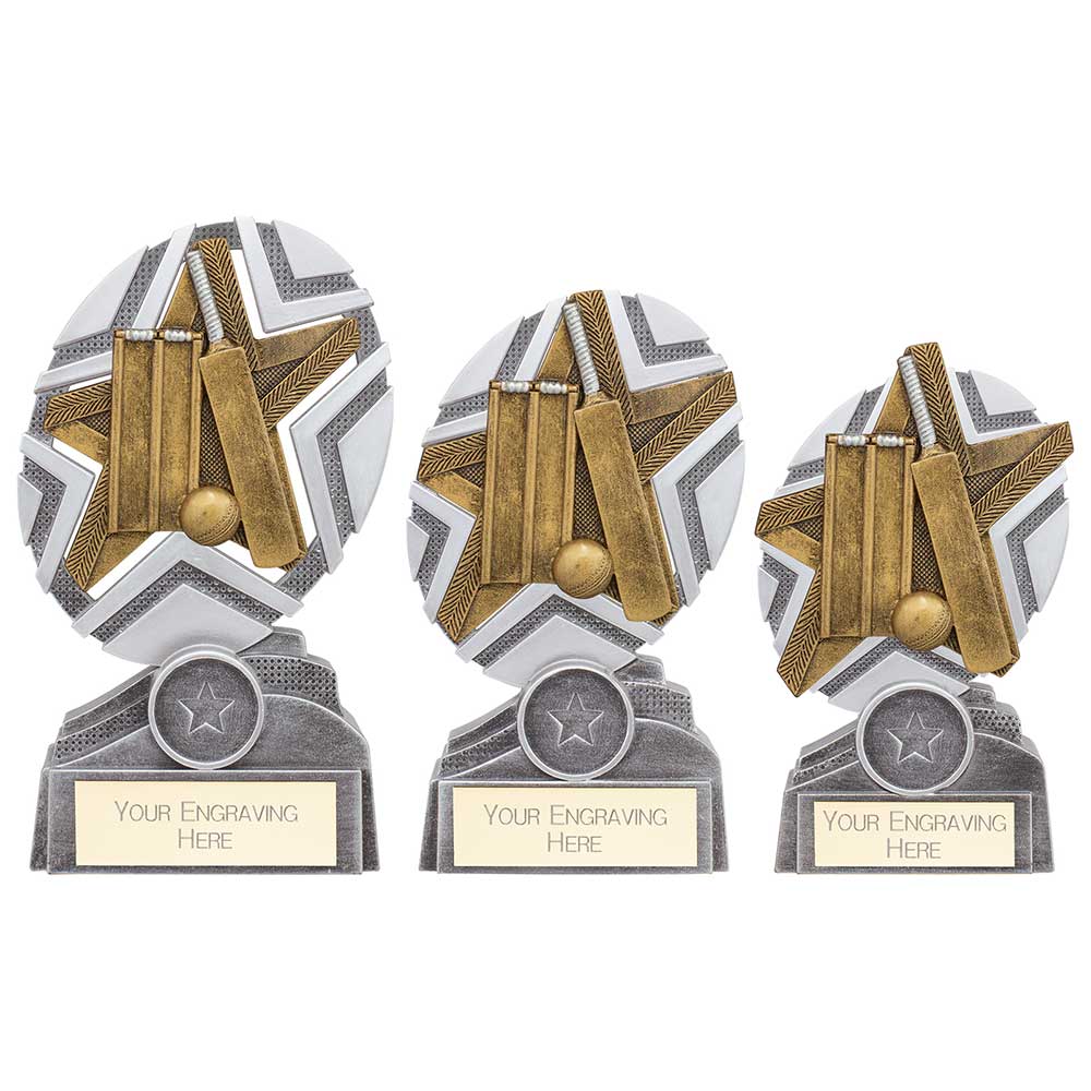 The Stars Cricket Plaque Award Silver & Gold