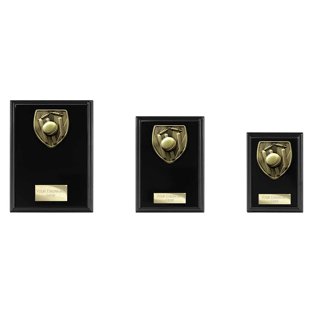 Cobra Plaque Cricket Award Epic Black