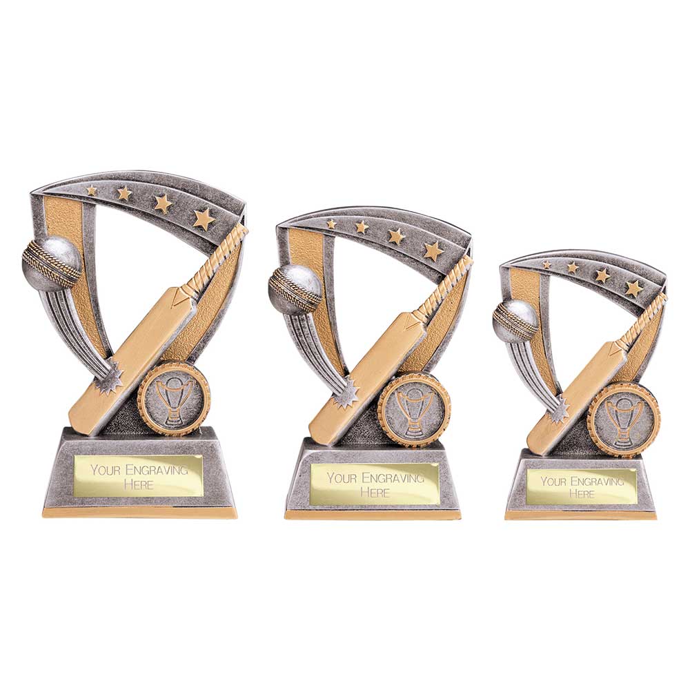 Optimum Cricket Resin Award Antique Silver & Gold