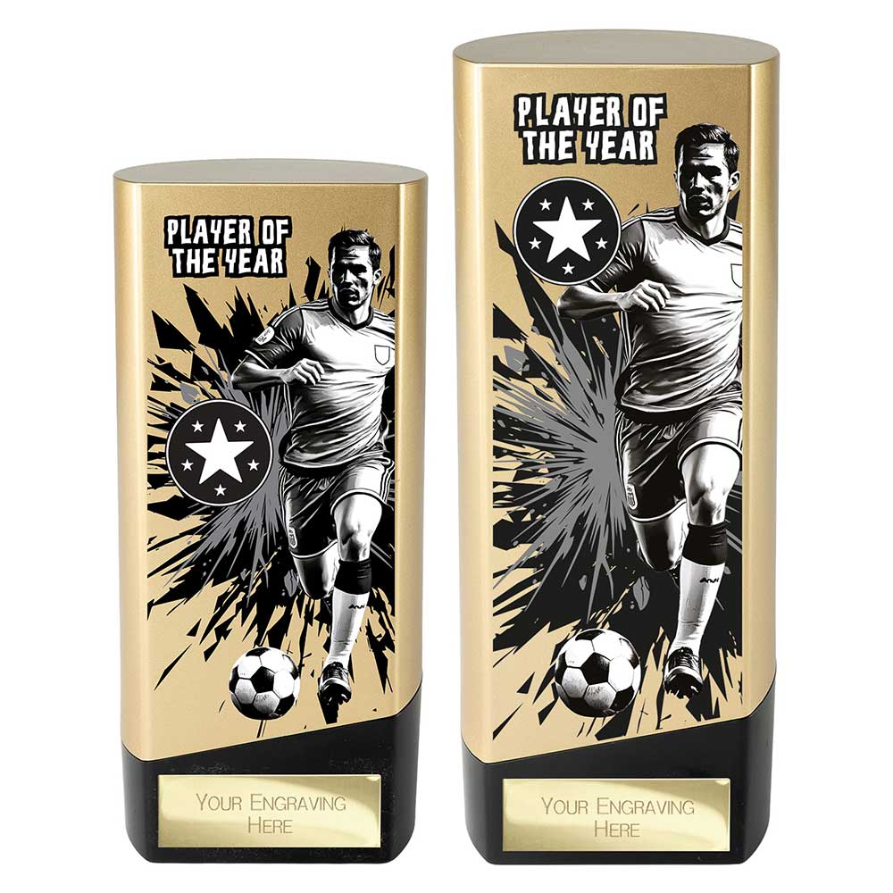 Prime Heavyweight Player of the year Gold & Black