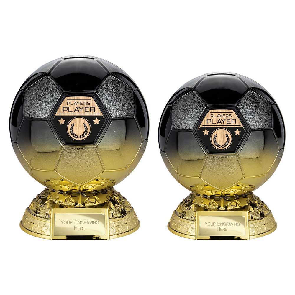 Elite Heavyweight Players Player Award Carbon Black to Gold