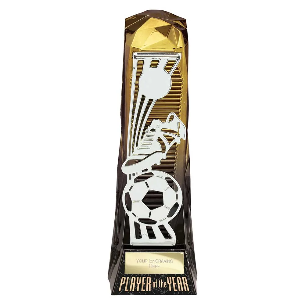 Shard Football Player of the Year Award Gold to Black