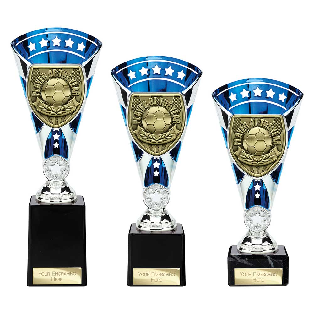 Cobra Star Cup Player of Year Silver & Blue
