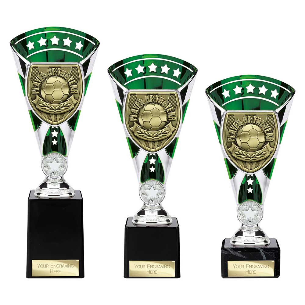 Cobra Star Cup Player of Year Silver & Green