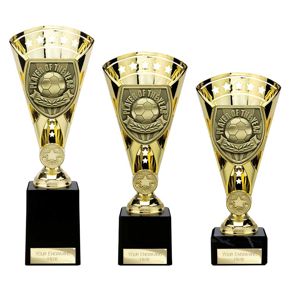 Cobra Star Cup Player of Year Gold