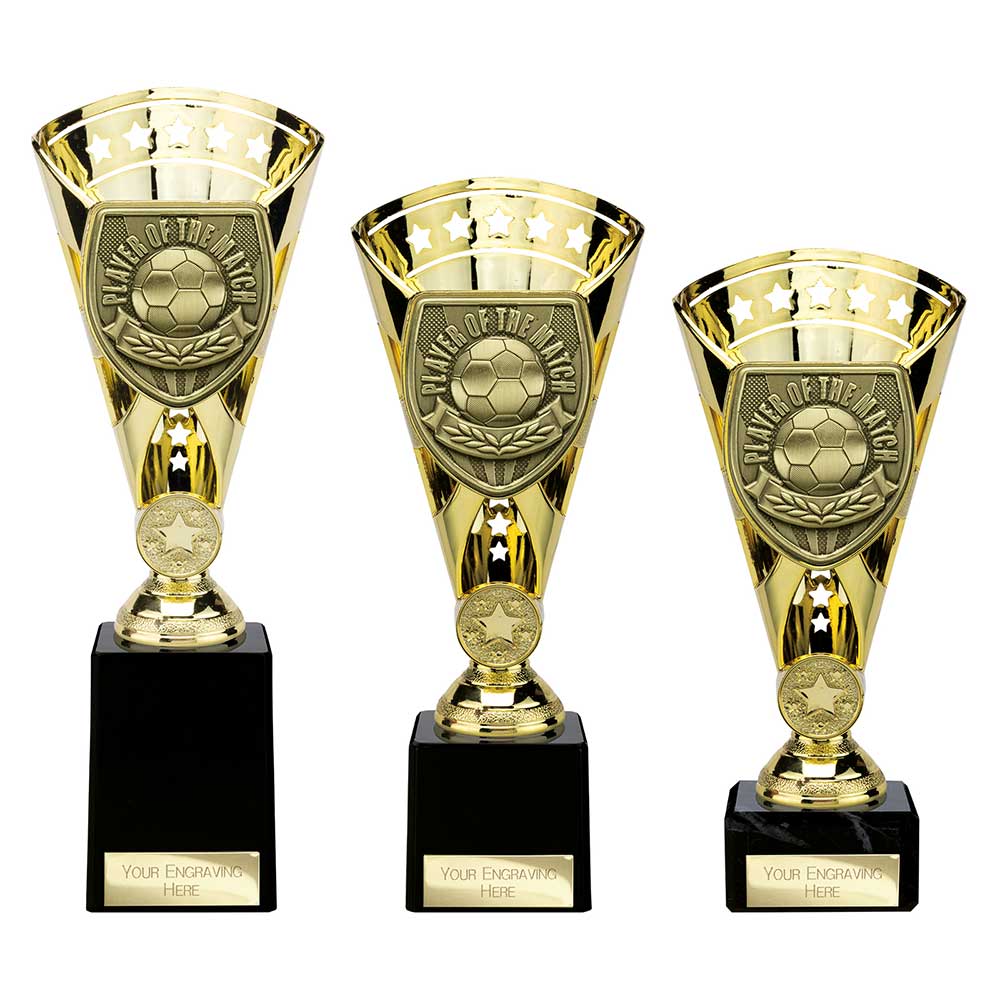 Cobra Star Cup Player of Match Gold