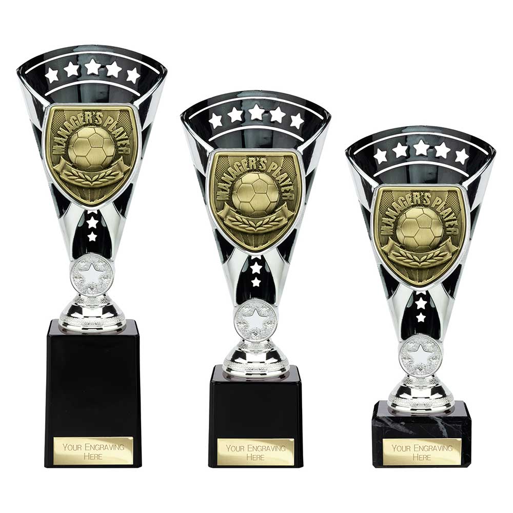 Cobra Star Cup Managers Player Silver & Black