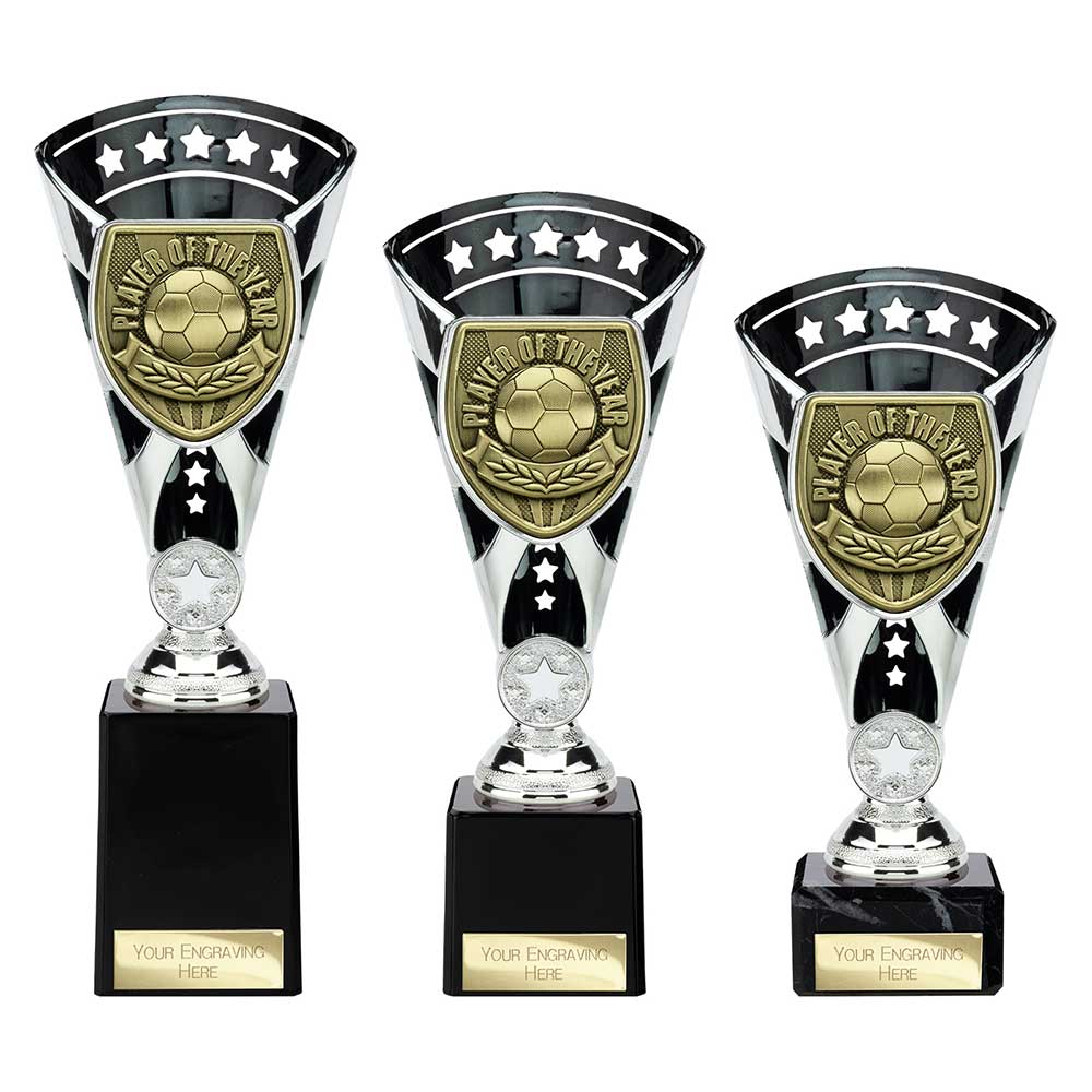 Cobra Star Cup Player of Year Silver & Black