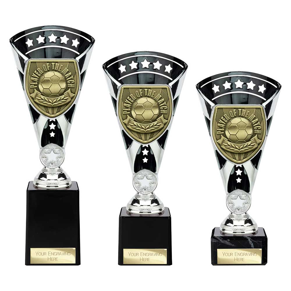 Cobra Star Cup Player of Match Silver & Black