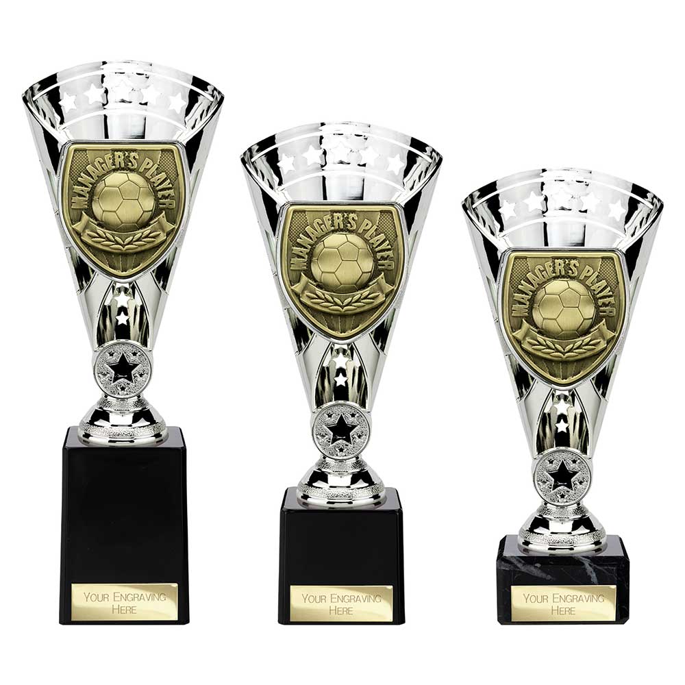 Cobra Star Cup Managers Player Silver