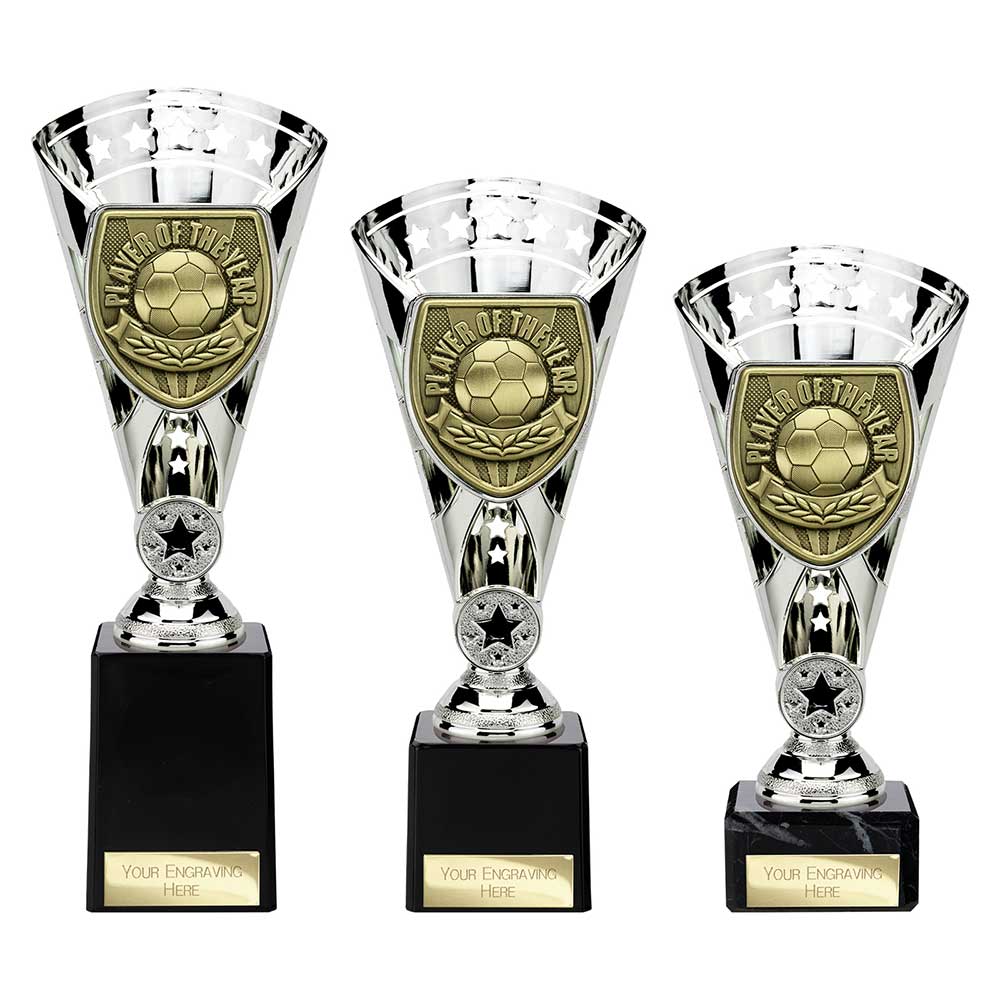 Cobra Star Cup Player of Year Silver