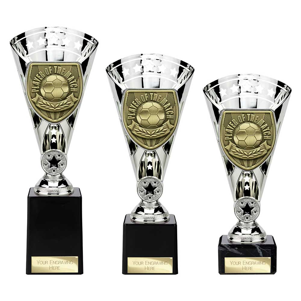 Cobra Star Cup Player of Match Silver