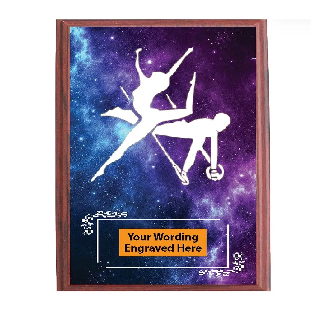 Galaxy Gymnastics Shield Award