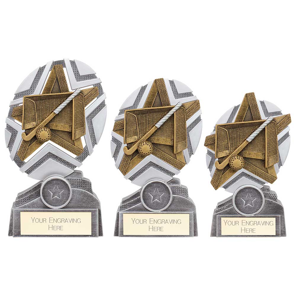 The Stars Hockey Plaque Award Silver & Gold