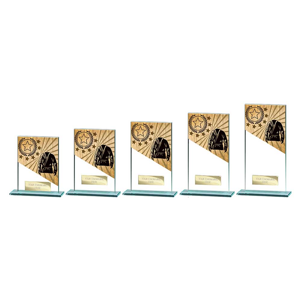 Mustang Martial Arts Jade Glass Award
