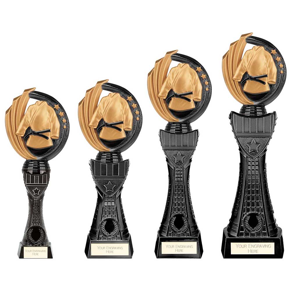 Renegade Heavyweight Martial Arts Award Black
