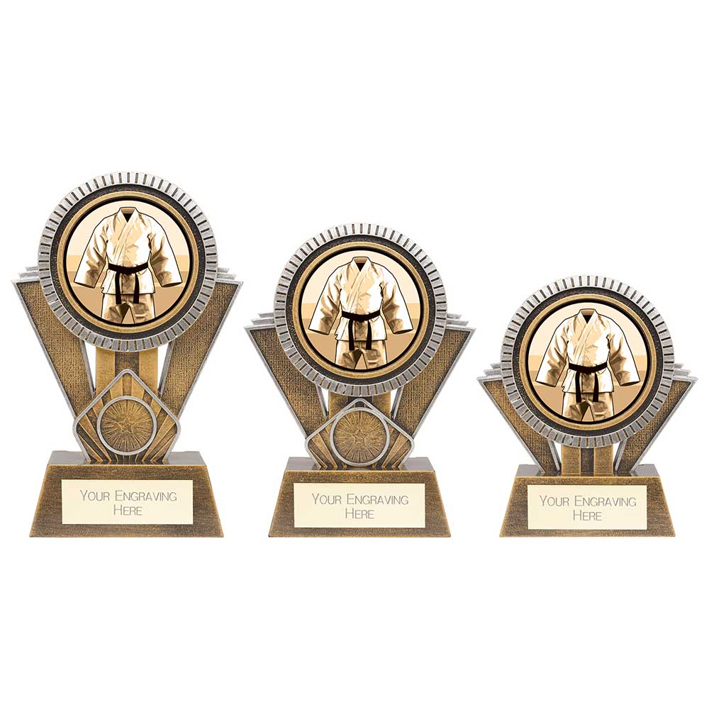 Martial Arts Trophies