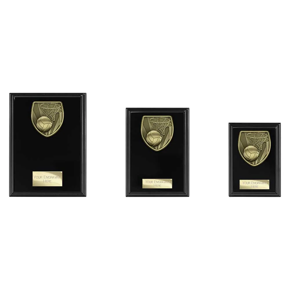 Cobra Plaque Netball Award Epic Black
