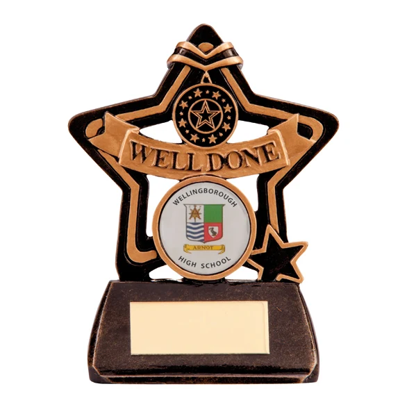 Little Star Well Done Award