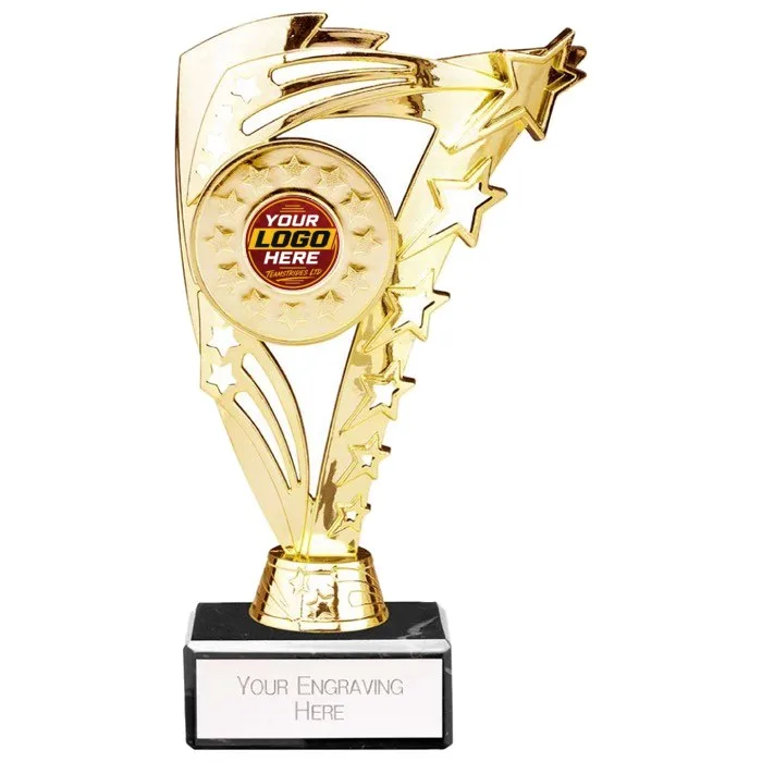 TR24510 trophy - Rewarding Success - Standard Trophies