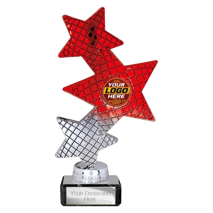 TR25593 trophy - Rewarding Success - Standard Trophies