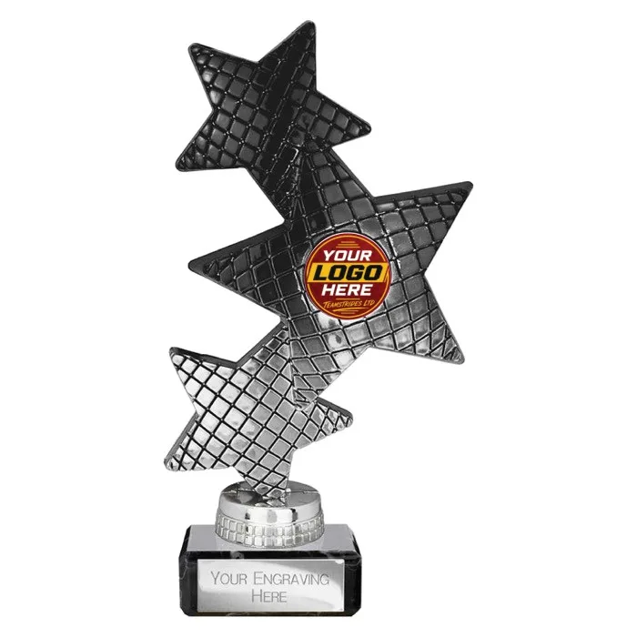 TR25595 trophy - Rewarding Success - Standard Trophies