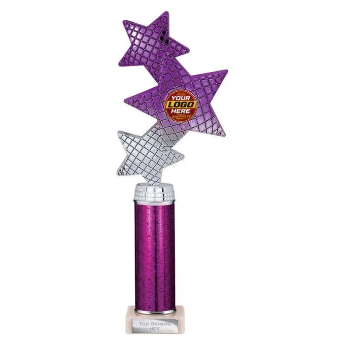 TR25601 trophy - Rewarding Success - Standard Trophies