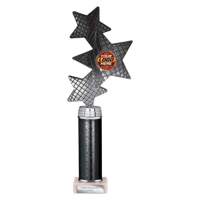 TR25602 trophy - Rewarding Success - Standard Trophies