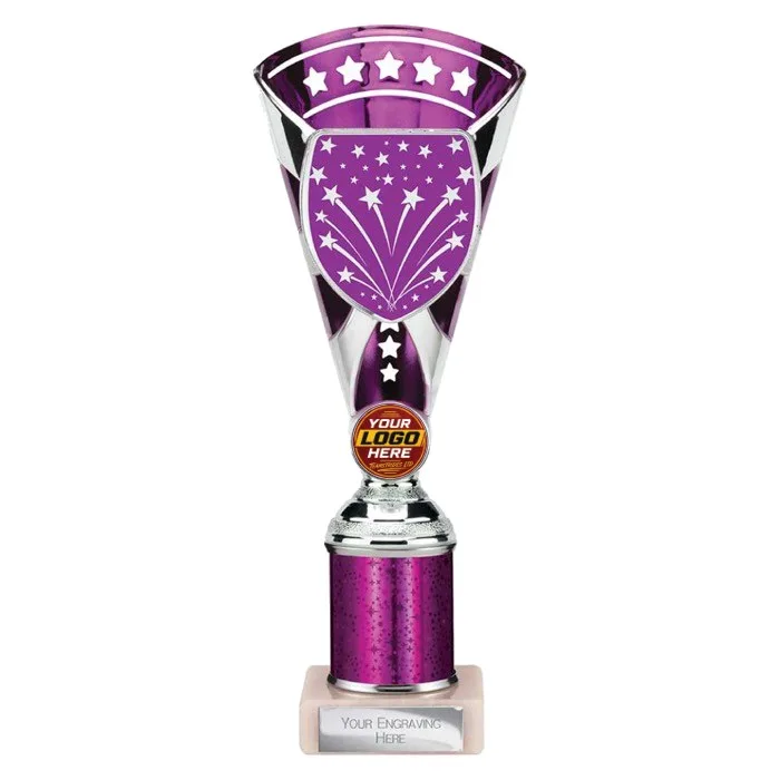TR25639 trophy - Rewarding Success - Standard Trophies