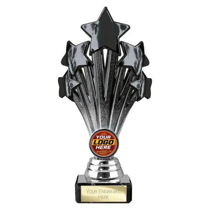 TR26541 trophy - Rewarding Success - Standard Trophies