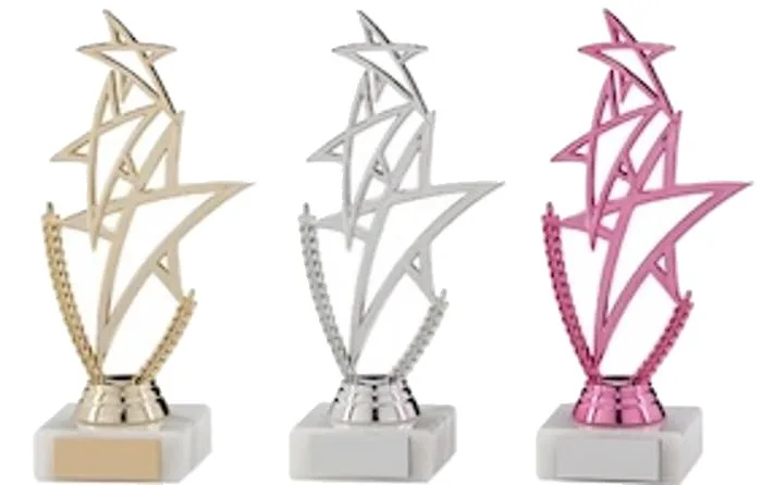 TR26681 trophy - Rewarding Success - Standard Trophies